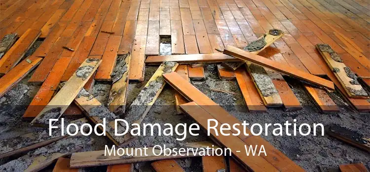 Flood Damage Restoration Mount Observation - WA