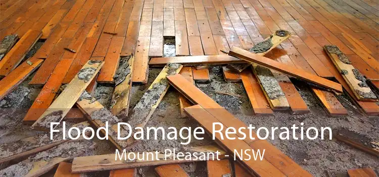 Flood Damage Restoration Mount Pleasant - NSW