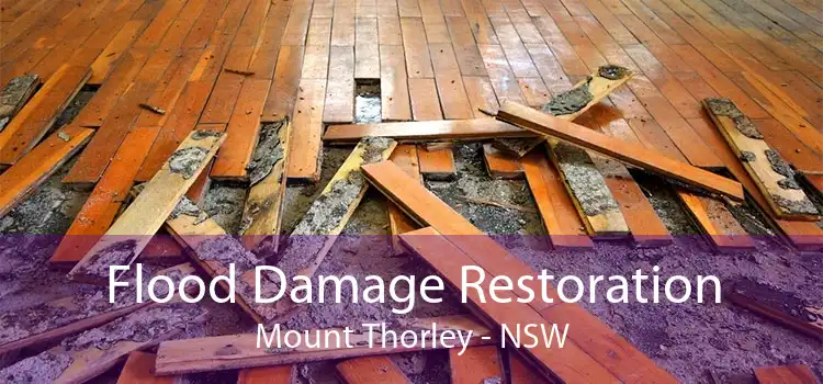 Flood Damage Restoration Mount Thorley - NSW