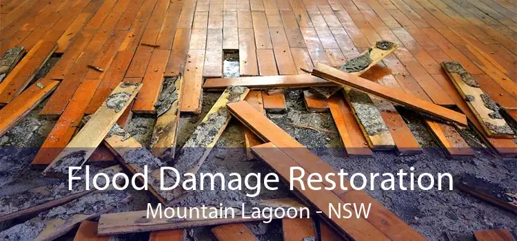 Flood Damage Restoration Mountain Lagoon - NSW
