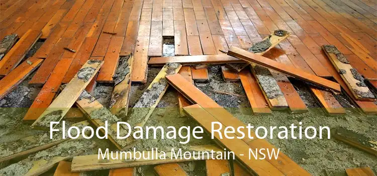 Flood Damage Restoration Mumbulla Mountain - NSW