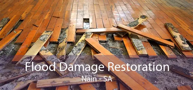 Flood Damage Restoration Nain - SA