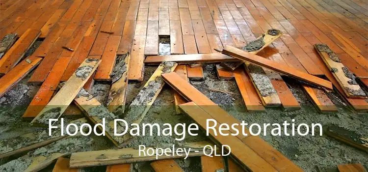 Flood Damage Restoration Ropeley - QLD
