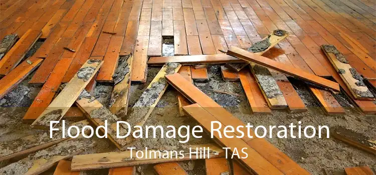 Flood Damage Restoration Tolmans Hill - TAS