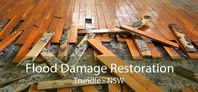 Flood Damage Restoration Trundle - NSW