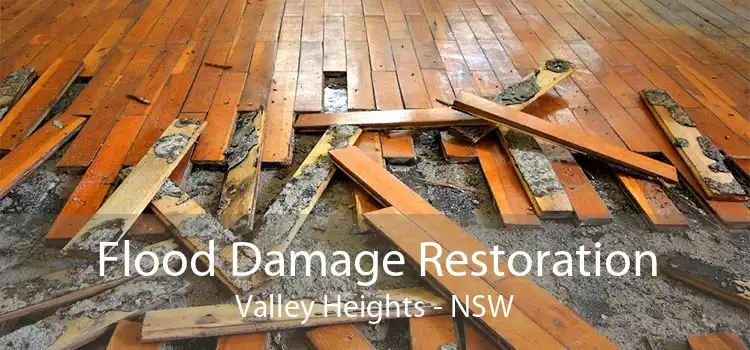 Flood Damage Restoration Valley Heights - NSW