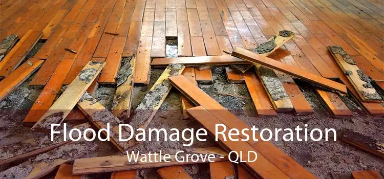 Flood Damage Restoration Wattle Grove - QLD