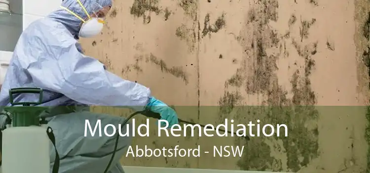 Mould Remediation Abbotsford - NSW