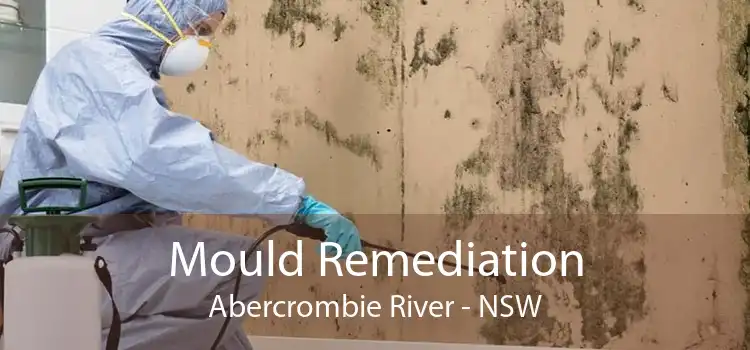 Mould Remediation Abercrombie River - NSW