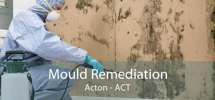 Mould Remediation Acton - ACT