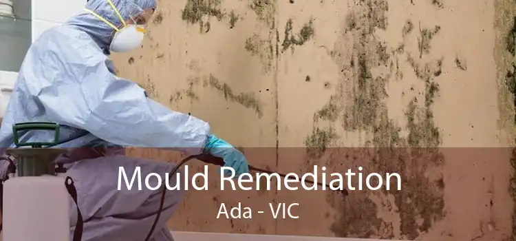 Mould Remediation Ada - VIC
