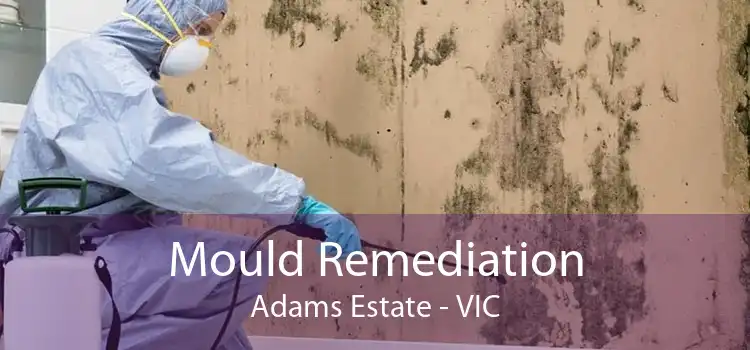 Mould Remediation Adams Estate - VIC