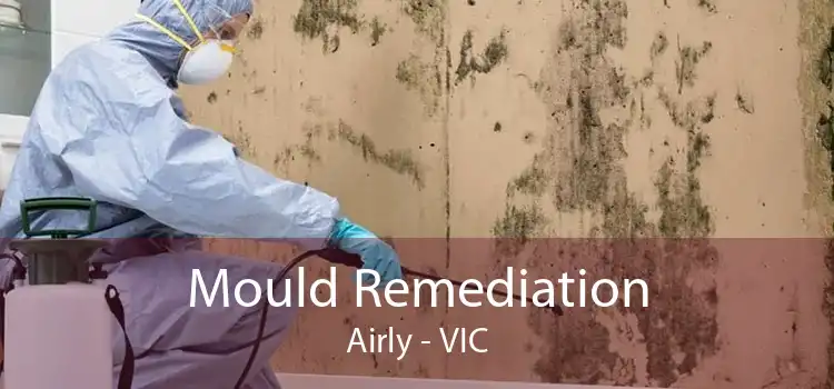 Mould Remediation Airly - VIC