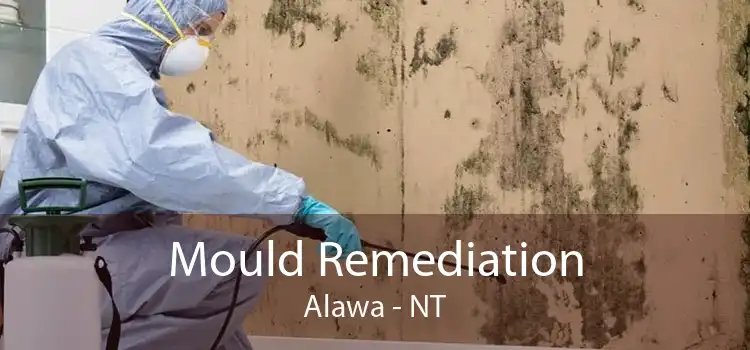 Mould Remediation Alawa - NT