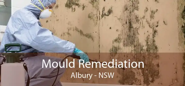 Mould Remediation Albury - NSW