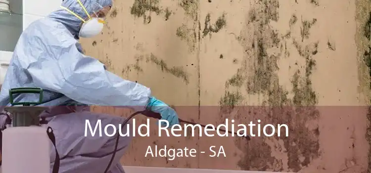 Mould Remediation Aldgate - SA