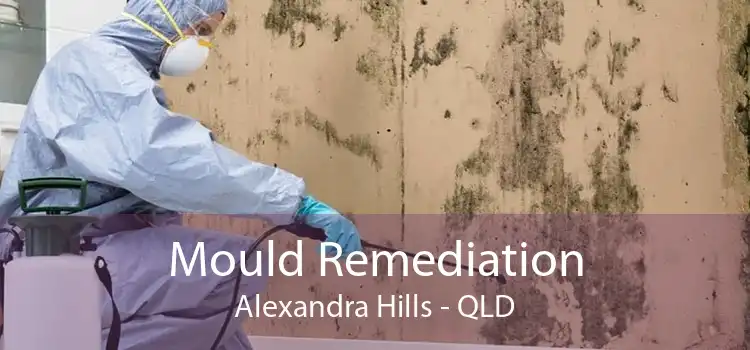 Mould Remediation Alexandra Hills - QLD