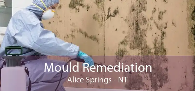 Mould Remediation Alice Springs - NT