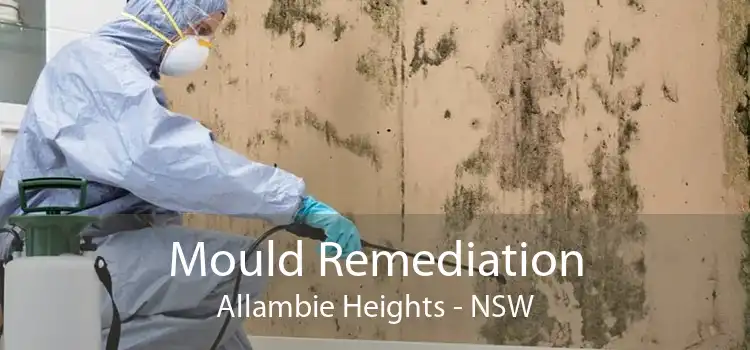 Mould Remediation Allambie Heights - NSW