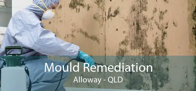Mould Remediation Alloway - QLD