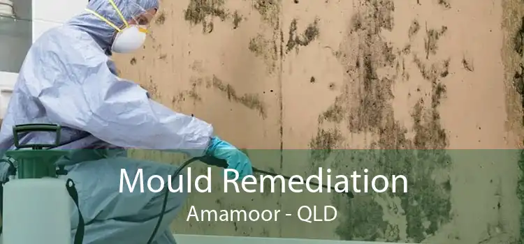 Mould Remediation Amamoor - QLD