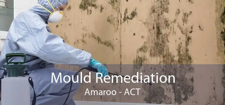 Mould Remediation Amaroo - ACT