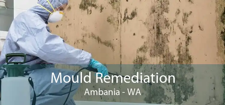 Mould Remediation Ambania - WA