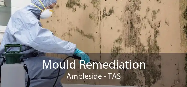 Mould Remediation Ambleside - TAS