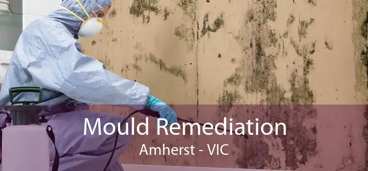 Mould Remediation Amherst - VIC
