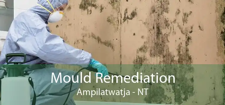 Mould Remediation Ampilatwatja - NT