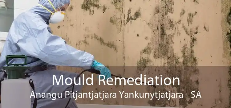 Mould Remediation Anangu Pitjantjatjara Yankunytjatjara - SA