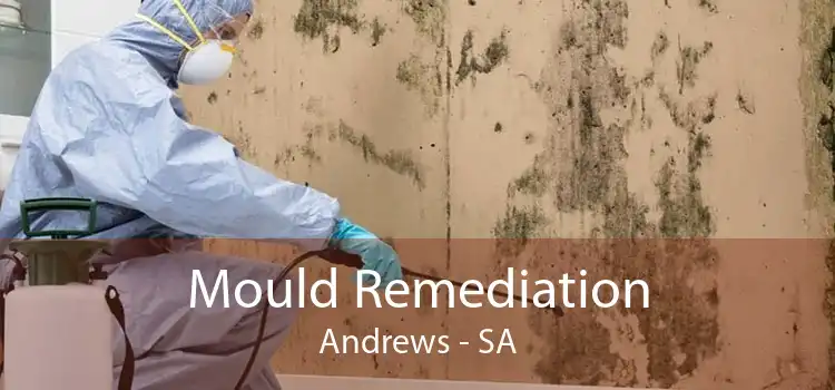 Mould Remediation Andrews - SA