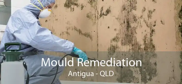 Mould Remediation Antigua - QLD