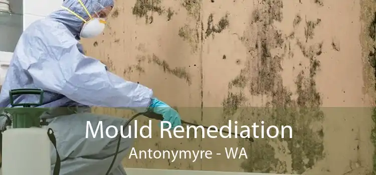 Mould Remediation Antonymyre - WA