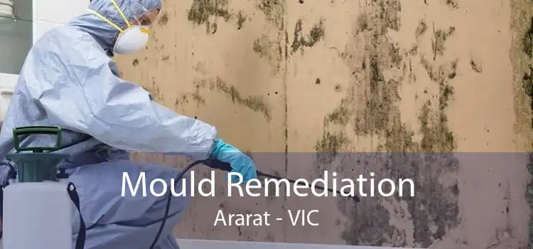Mould Remediation Ararat - VIC