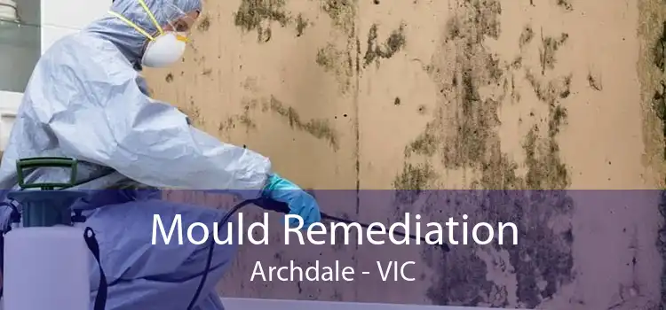 Mould Remediation Archdale - VIC