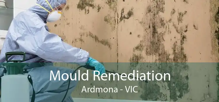 Mould Remediation Ardmona - VIC