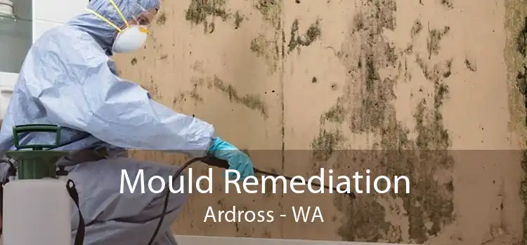 Mould Remediation Ardross - WA