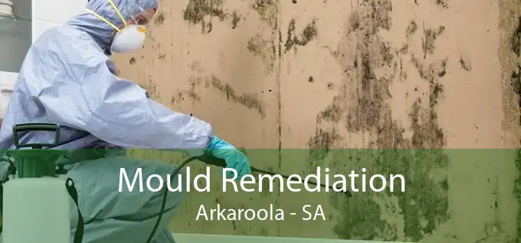 Mould Remediation Arkaroola - SA