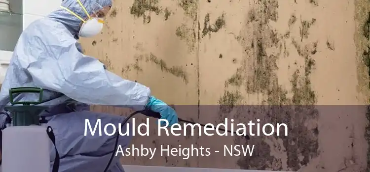Mould Remediation Ashby Heights - NSW