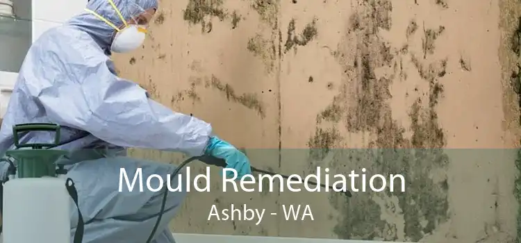 Mould Remediation Ashby - WA