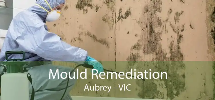 Mould Remediation Aubrey - VIC