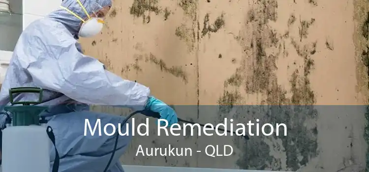 Mould Remediation Aurukun - QLD
