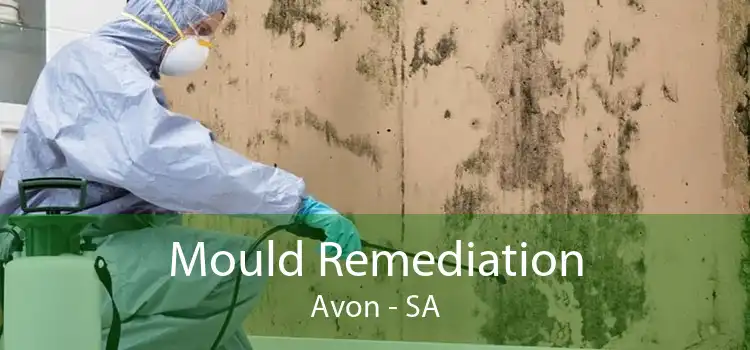 Mould Remediation Avon - SA
