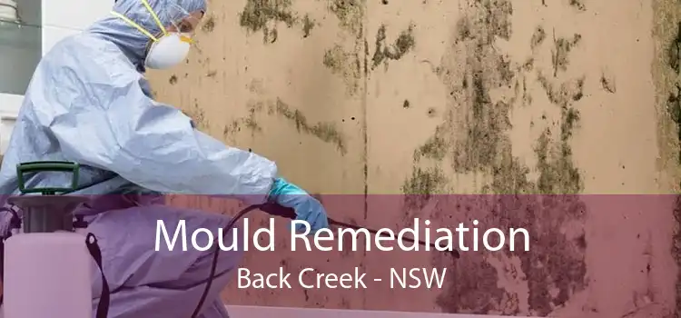 Mould Remediation Back Creek - NSW
