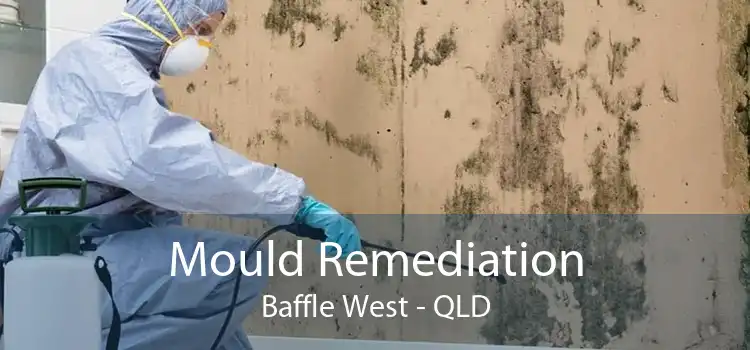 Mould Remediation Baffle West - QLD