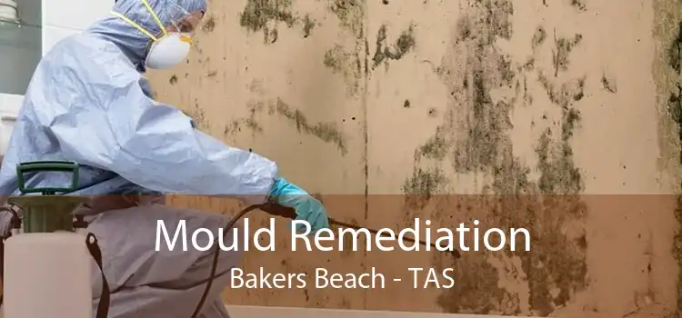 Mould Remediation Bakers Beach - TAS