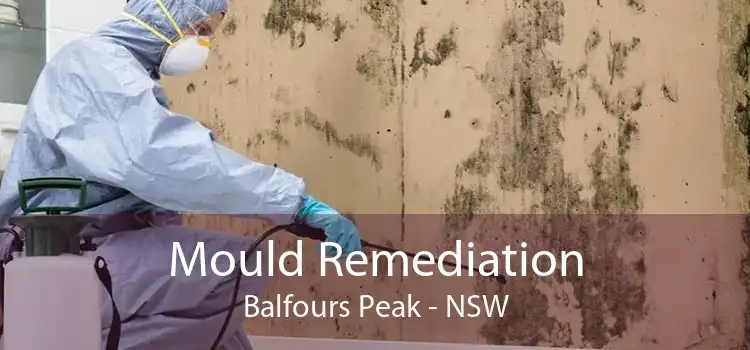 Mould Remediation Balfours Peak - NSW