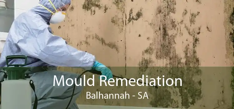 Mould Remediation Balhannah - SA
