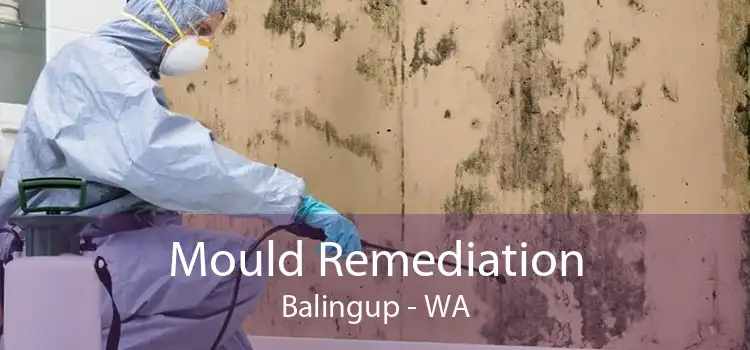 Mould Remediation Balingup - WA